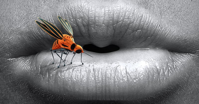 Quels insectes piquent la nuit et comment les tenir à distance