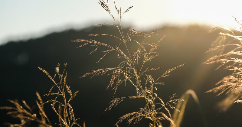 Comment faire chauffer une bouillotte sèche sans micro-ondes