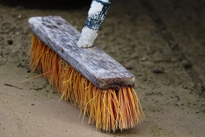 Comment se débarrasser des blattes à l’intérieur de la maison ? (étape par étape)
