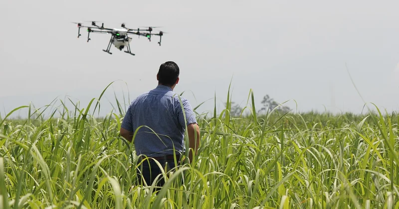 Les innovations agronomiques qui ne consomment pas un watt