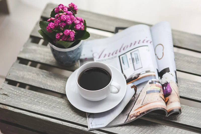 Comment choisir le bon magazine selon votre profil