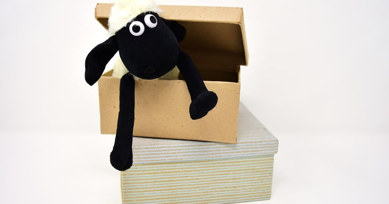 Cabane en carton : 12 idées créatives pour émerveiller vos enfants